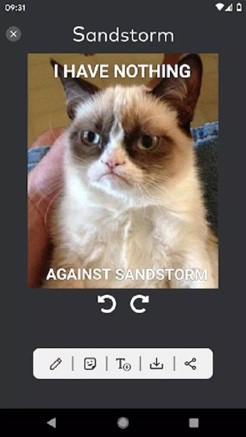 Tạo ảnh meme của riêng bạn với Sandstorm Meme Maker (ảnh: internet).