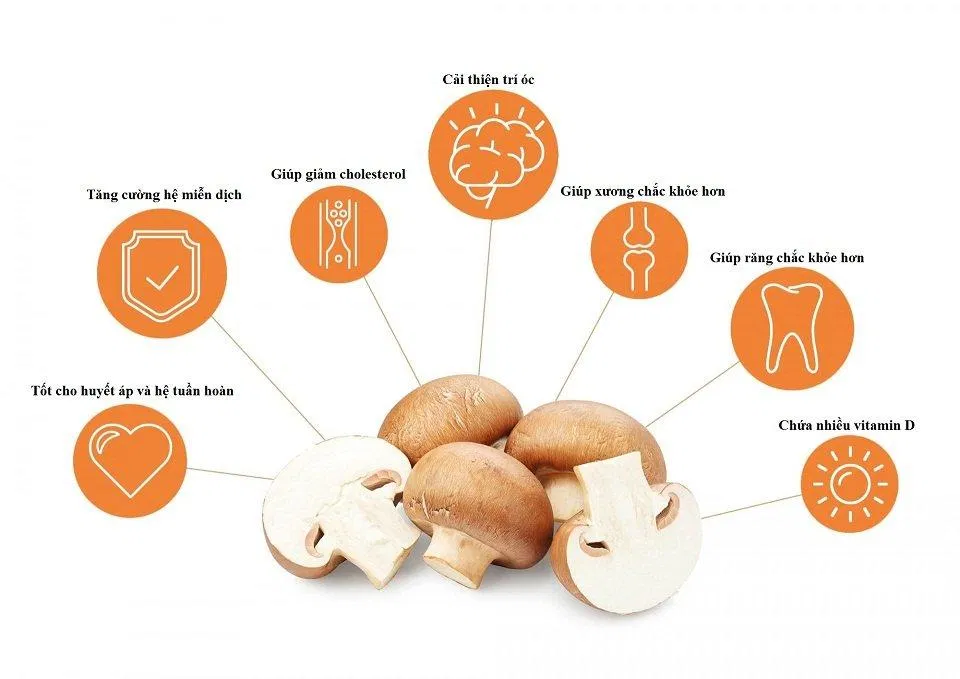 Nấm có nhiều tác dụng tốt đối với sức khỏe (Ảnh: Internet). Nấm có nhiều tác dụng tốt đối với sức khỏe (Ảnh: Internet).