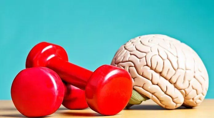 Tập thể dục không chỉ tốt cho cơ bắp mà còn kích thích trí não rất tốt (Ảnh: Internet).