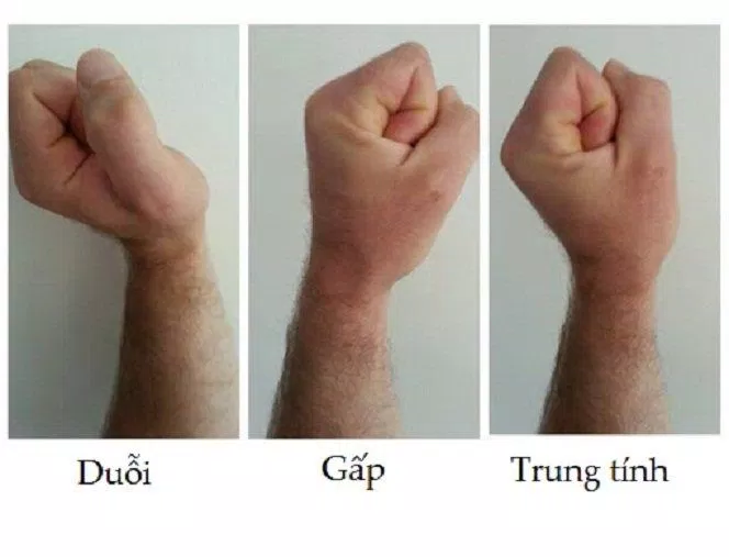 Các tư thế của cổ tay khi tập luyện (Ảnh: Internet).