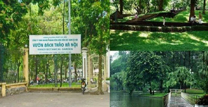 Công viên Bách thảo với hàng ngàn loại cây xanh mướt (Ảnh: Internet).