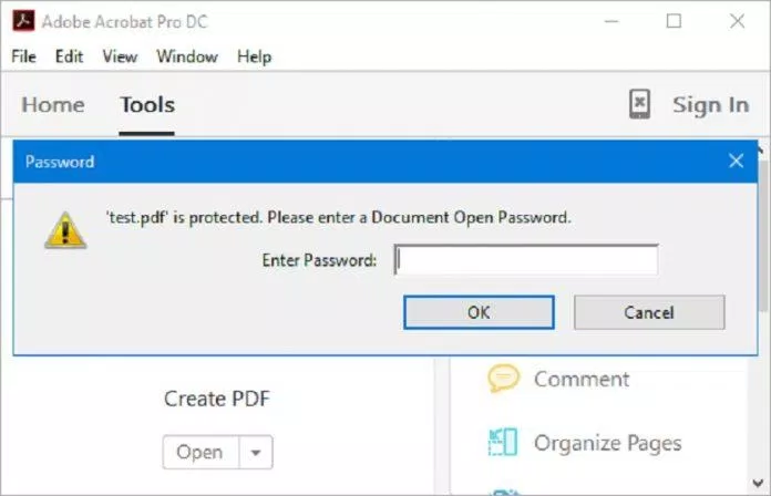 File PDF yêu cầu nhập mật khẩu mở (Ảnh: Internet).