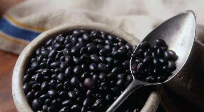 Hạt đậu đen giúp bổ sung sức khỏe cho xương khớp (Nguồn: Internet)