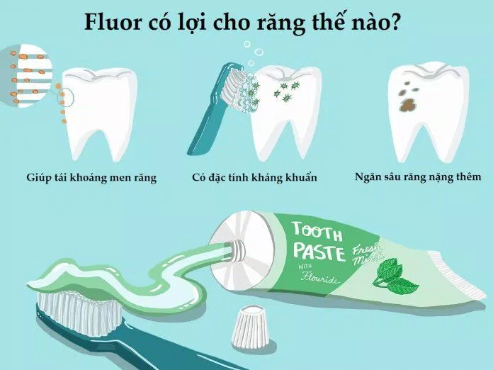 Fluor có nhiều tác dụng trong việc bảo vệ răng (Ảnh: Internet).