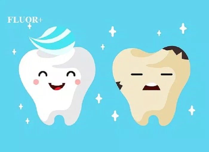 Fluor đã được công nhận là có tác dụng bảo vệ răng, ngừa sâu răng (Ảnh: Internet).