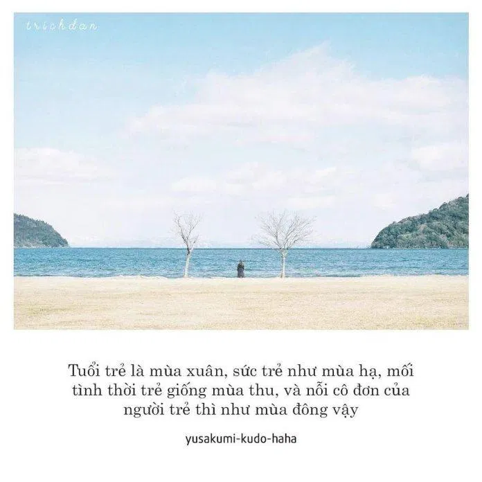 4 mùa làm nên thanh xuân (Ảnh: Facebook Trích dẫn)