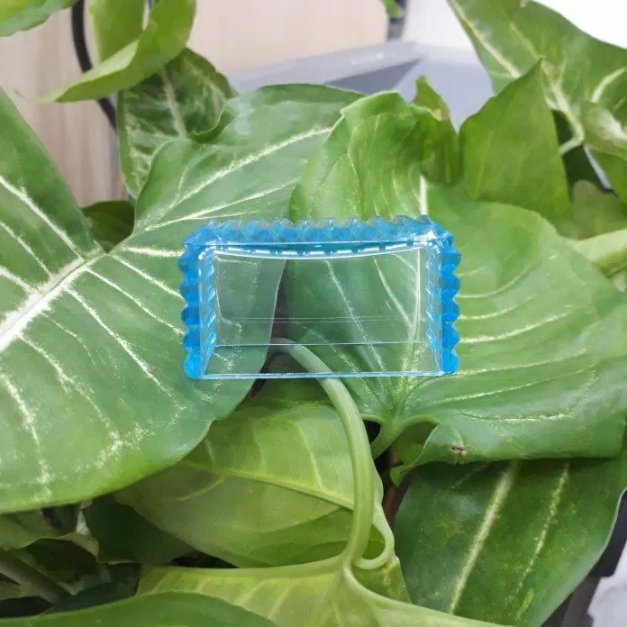 Nắp chai có màu xanh bắt mắt (ảnh: BlogAnChoi).