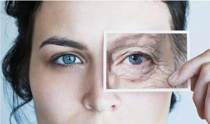 Peptides giúp xóa mờ nếp nhăn và trẻ hóa làn da lão hóa hiệu quả (Nguồn: Internet).