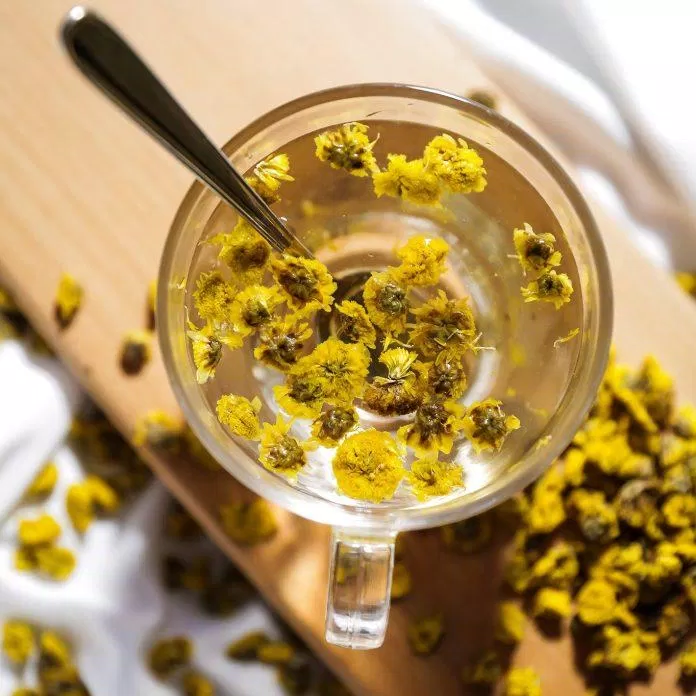 Trà hoa cúc vàng chứa nhiều dưỡng chất cần thiết cho cơ thể (Nguồn: Internet).
