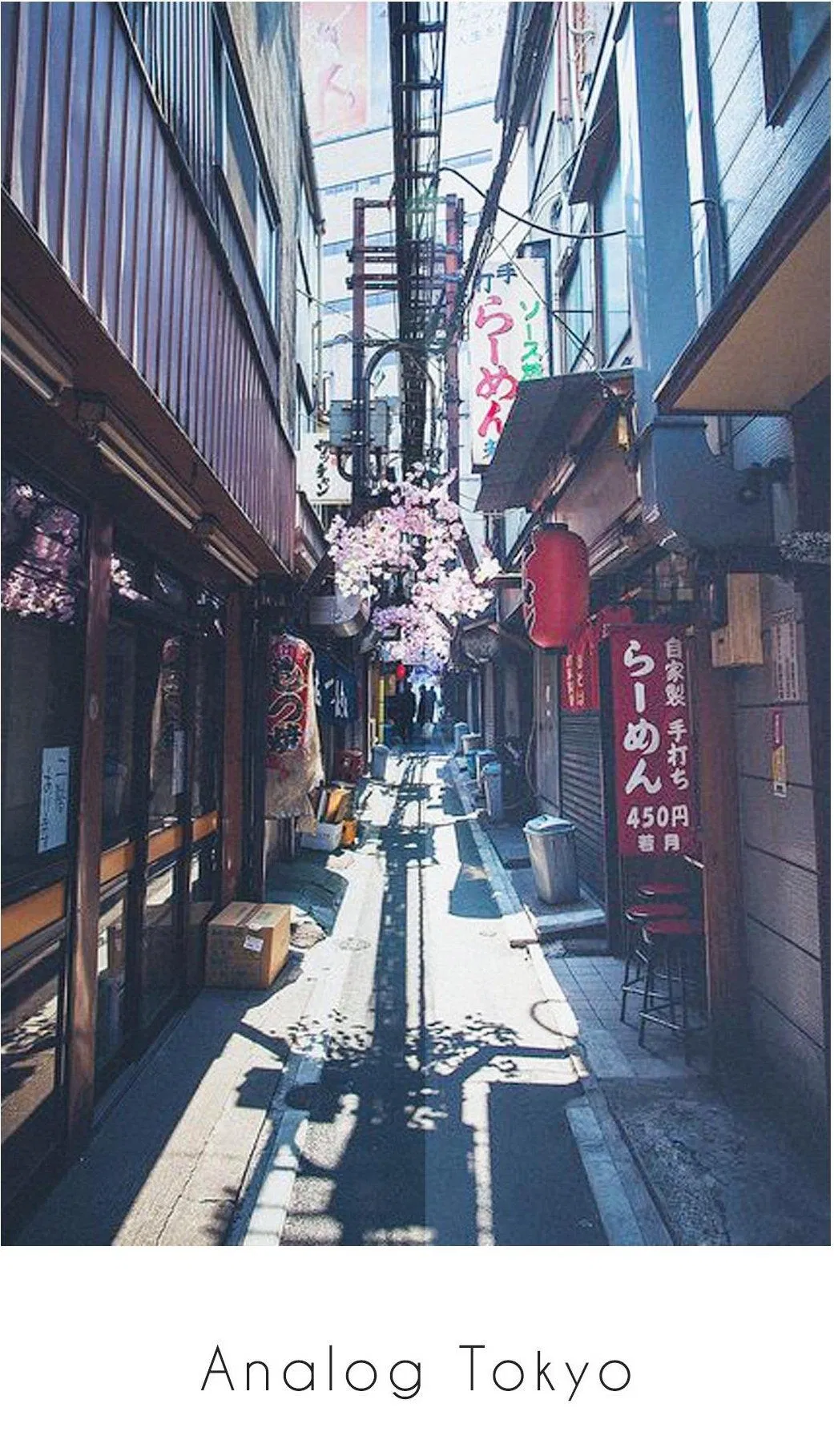 Analog Tokyo dành cho những ai thích gu ảnh nhẹ nhàng, nên thơ (Nguồn: Internet). Analog Tokyo dành cho những ai thích gu ảnh nhẹ nhàng, nên thơ (Nguồn: Internet).