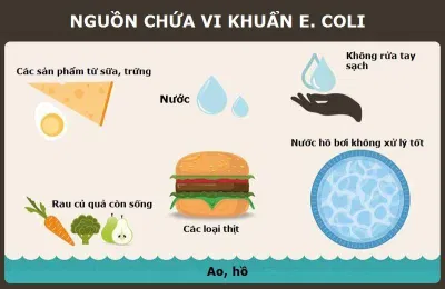 Vi khuẩn có thể tồn tại ở khắp mọi nơi xung quanh chúng ta (Ảnh: Internet). Vi khuẩn có thể tồn tại ở khắp mọi nơi xung quanh chúng ta (Ảnh: Internet).