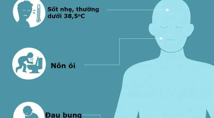 Các triệu chứng nhiễm E. coli thường gặp (Ảnh: Internet). Các triệu chứng nhiễm E. coli thường gặp (Ảnh: Internet).