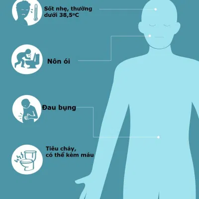 Các triệu chứng nhiễm E. coli thường gặp (Ảnh: Internet). Các triệu chứng nhiễm E. coli thường gặp (Ảnh: Internet).