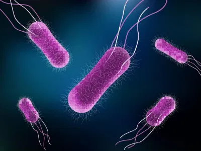 Salmonella có thể lây truyền rất nhanh qua đường tiêu hóa (Ảnh: Internet). Salmonella có thể lây truyền rất nhanh qua đường tiêu hóa (Ảnh: Internet).