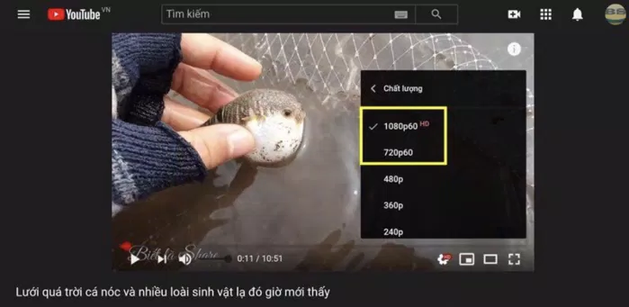 Kể từ giữa năm 2020, YouTube đã không còn công nhận 720p là độ phân giải cao (HD), mà chỉ công nhận nó ngang hàng với độ phân giải tiêu chuẩn (SD) (Ảnh: Internet). Kể từ giữa năm 2020, YouTube đã không còn công nhận 720p là độ phân giải cao (HD), mà chỉ công nhận nó ngang hàng với độ phân giải tiêu chuẩn (SD) (Ảnh: Internet).