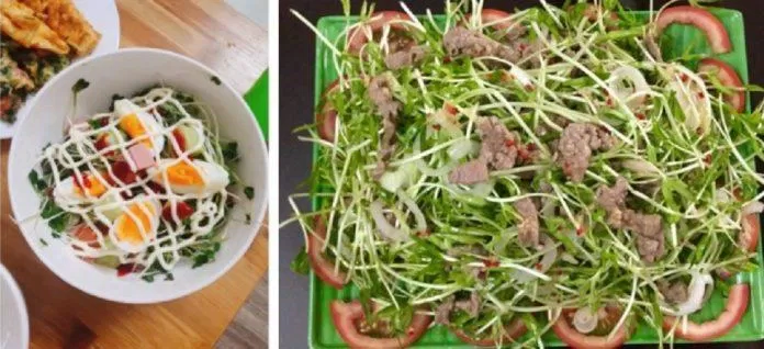 Salat rau mầm (Ảnh: Internet)