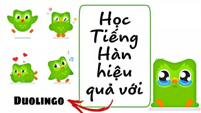 Duolingo là ứng dụng học ngoại ngữ nổi tiếng (Ảnh: Internet).