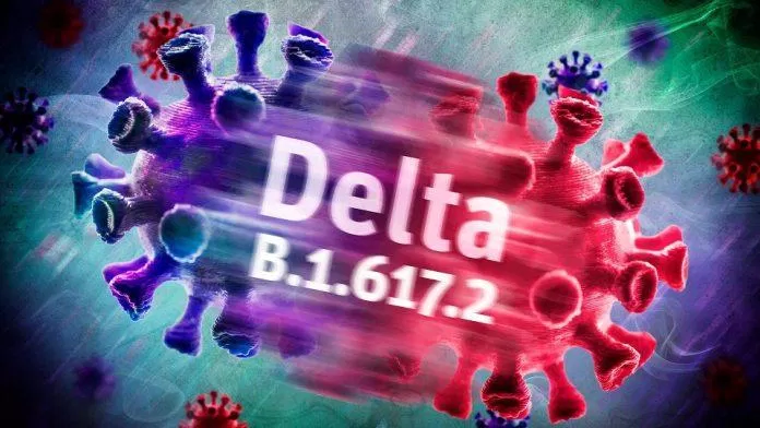 Biến thể Delta còn được ký hiệu là B.1.617.2 (Ảnh: Internet).