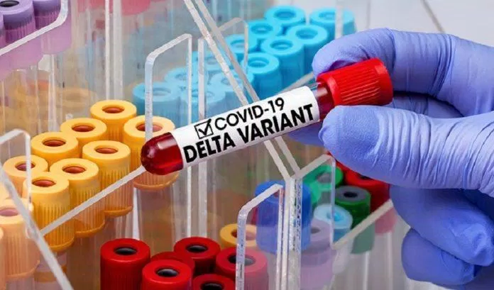 Biến thể Delta đang ngày càng phổ biến và chiếm ưu thế trong đại dịch COVID-19 (Ảnh: Internet).