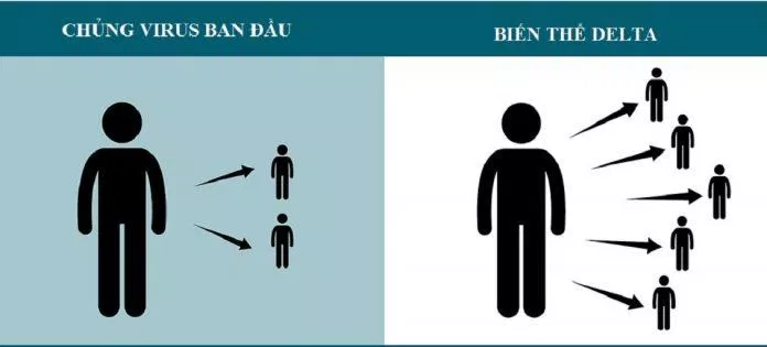 Delta có khả năng lây lan mạnh hơn chủng ban đầu và các biến thể khác (Ảnh: Internet). Delta có khả năng lây lan mạnh hơn chủng ban đầu và các biến thể khác (Ảnh: Internet).