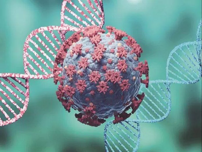 Đột biến giúp cho virus có những đặc tính mới nguy hiểm hơn (Ảnh: Internet). Đột biến giúp cho virus có những đặc tính mới nguy hiểm hơn (Ảnh: Internet).