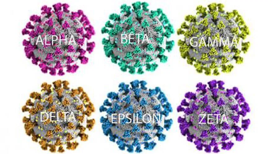 Delta hiện vẫn là biến thể đáng lo ngại nhất (Ảnh: Internet). Delta hiện vẫn là biến thể đáng lo ngại nhất (Ảnh: Internet).