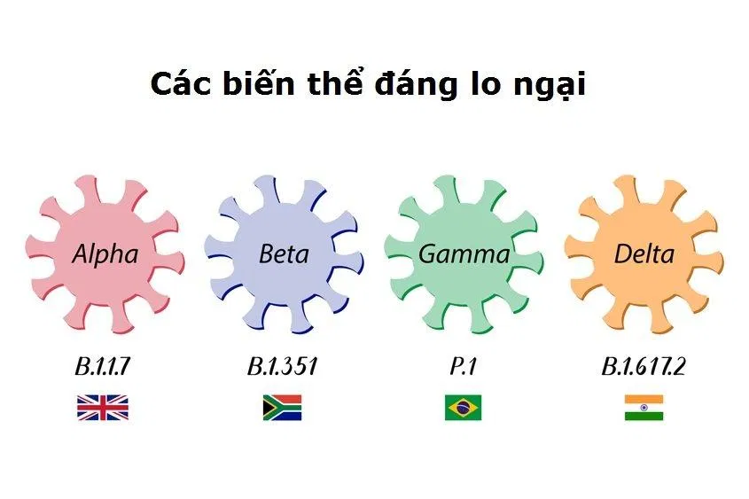 Các biến thể đáng lo ngại của virus SARS-CoV-2 đã được xác định cho đến nay (Ảnh: Internet). Các biến thể đáng lo ngại của virus SARS-CoV-2 đã được xác định cho đến nay (Ảnh: Internet).