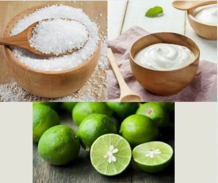 Chanh, muối biển, sữa chua là combo hoàn hảo để chăm sóc da (Nguồn: Internet) Chanh, muối biển, sữa chua là combo hoàn hảo để chăm sóc da (Nguồn: Internet)