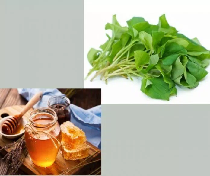 Mật ong sẽ giúp tăng cường khả năng chống oxy hóa (Nguồn: Internet) Mật ong sẽ giúp tăng cường khả năng chống oxy hóa (Nguồn: Internet)