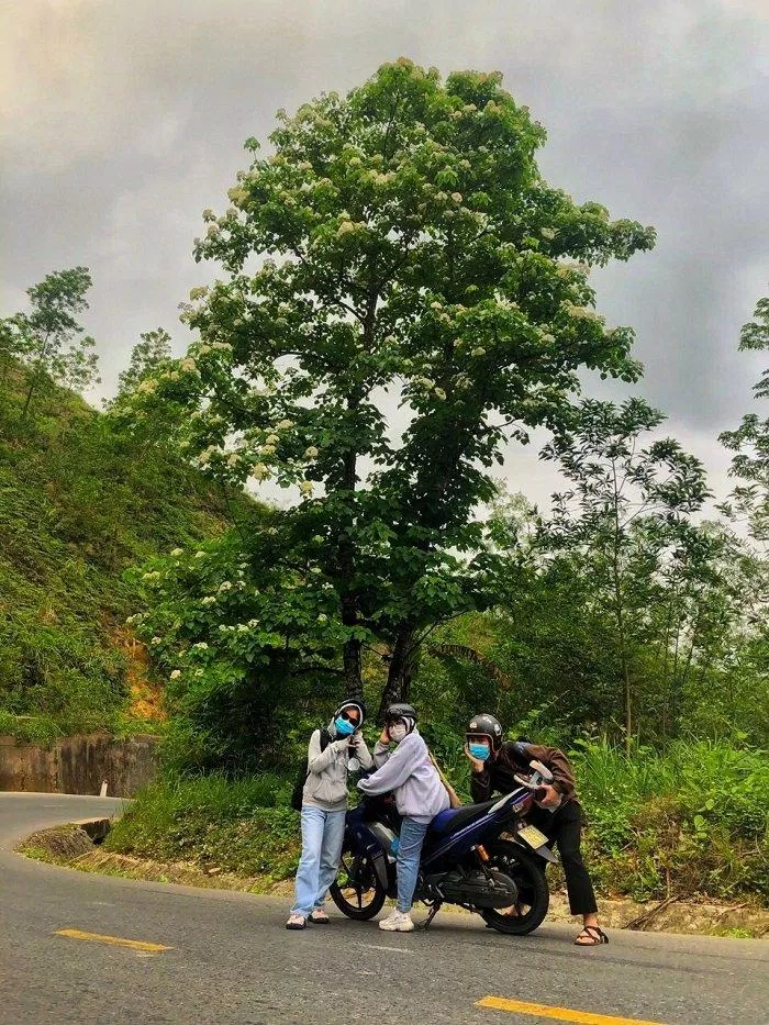 Đường đến A Lưới với những cung đèo uốn lượn (Ảnh: Đặng Huyền). Đường đến A Lưới với những cung đèo uốn lượn (Ảnh: Đặng Huyền).