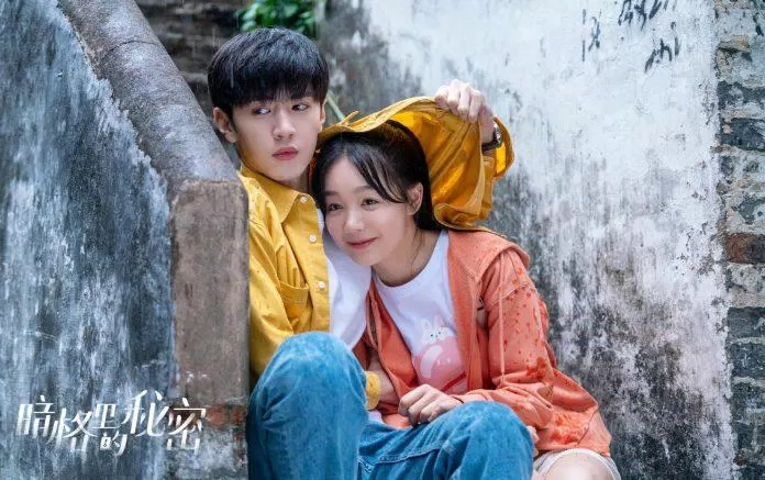 Cặp chính đáng yêu trong Bí Mật Nơi Góc Tối (Ảnh: Internet)