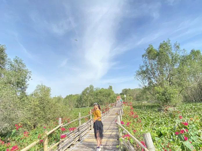Cầu tre rừng tràm Trà Sư (Ảnh: Kim Cúc). Cầu tre rừng tràm Trà Sư (Ảnh: Kim Cúc).