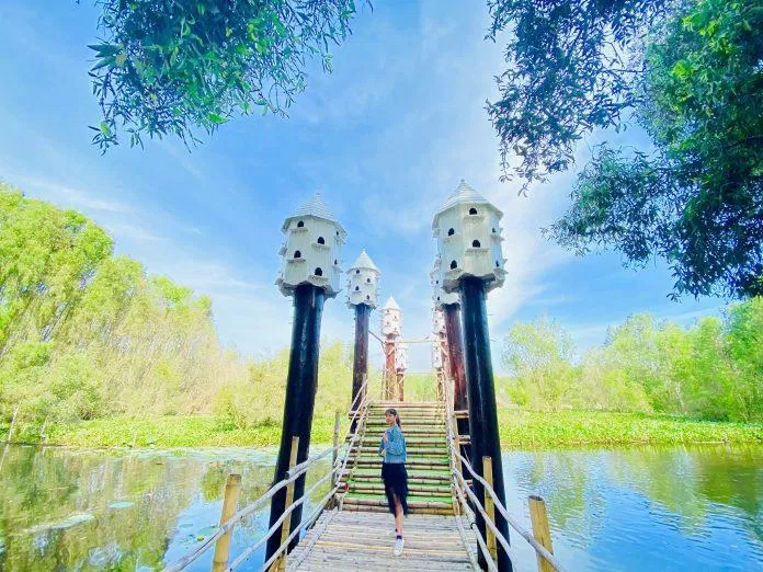 Cầu tre trang trí tổ chim ở rừng tràm Trà Sư (Ảnh: Kim Cúc). Cầu tre trang trí tổ chim ở rừng tràm Trà Sư (Ảnh: Kim Cúc).