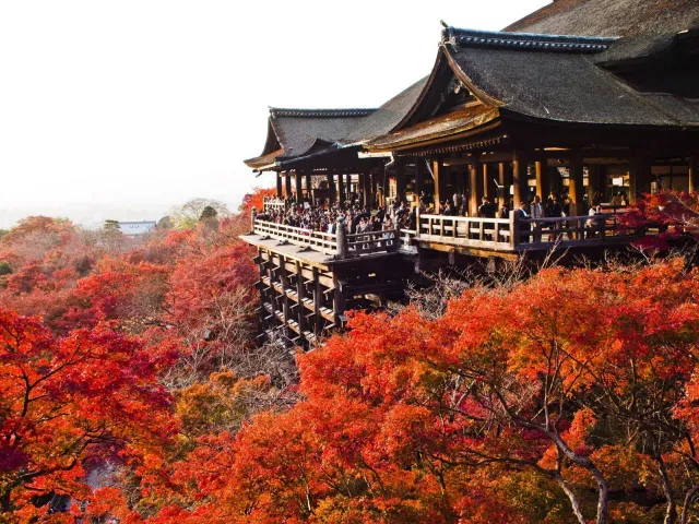 Chùa Kiyomizu mùa thu lá đỏ (Nguồn: Internet). Chùa Kiyomizu mùa thu lá đỏ (Nguồn: Internet).