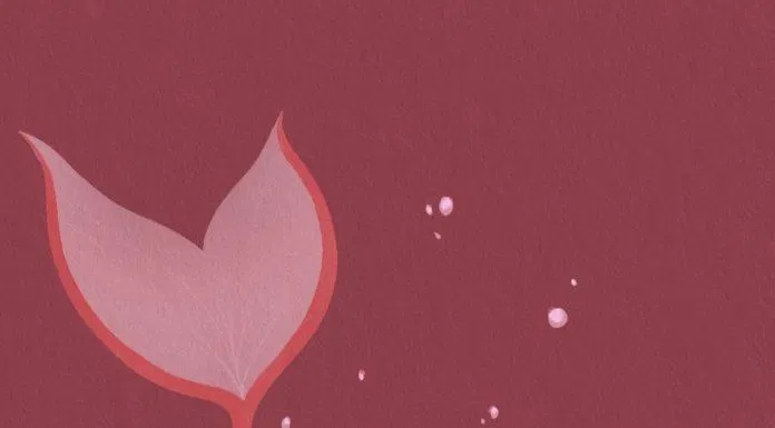 Aurora phiên bản nàng tiên cá (Ảnh: Weibo)
