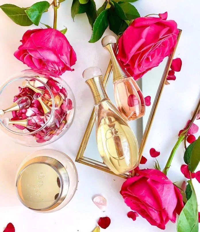 Top 7 dầu tắm phổ biến và được yêu thích nhất hiện nay ARGAN OIL Argan Oil Tinh dầu Argan Argania Spinosa Kernel Oil bảo vệ da Citric Acid công dụng dâu tằm Dầu tắm dưỡng ẩm Ziaja Med Atopy AZS Dầu tắm dưỡng da Oliu Oliv Natural Nourish Virgin Olive Oil Dầu tắm hạnh nhân L Occitane Almond Shower Oil Dầu tắm Tesori d Oriente Argan Cyperus Oils Dầu tắm thảo dược Balea Lavender Dầu tắm The Body Shop Wild Argan Oil Shower Gel dưỡng ẩm dưỡng da Dưỡng da ẩm mượt glycerin hạnh nhân làm sạch da Lavender Oil Tinh dầu hoa oải hương Macadamia Integrifolia Seed Oil Dầu Macadamia Mipa Laureth Sulfate ngăn ngừa khô da Olive Fruit Oil Dầu Olive phổ biến Sodium Laureth Sulfate Sunflower Seed Oil Dầu hạt hướng dương Sweet Almond Oil dầu hạnh nhân thành phần The Body Shop top dầu tắm vitamin E
