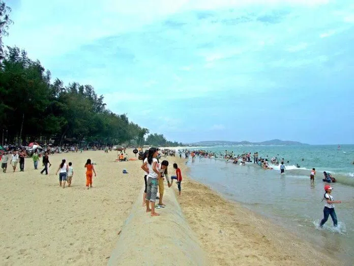 Biển Đồi Dương lộng gió với hàng dương xanh mát (Ảnh: Internet). Biển Đồi Dương lộng gió với hàng dương xanh mát (Ảnh: Internet).