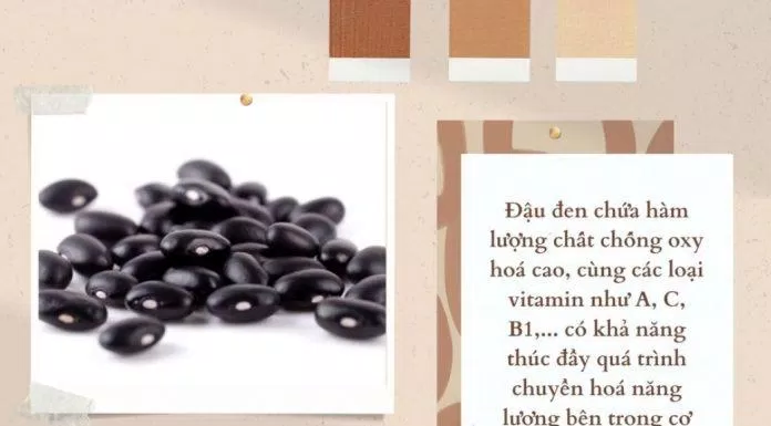 Hạt đậu đen chứa rất nhiều hàm lượng vitamin (Ảnh: Internet).