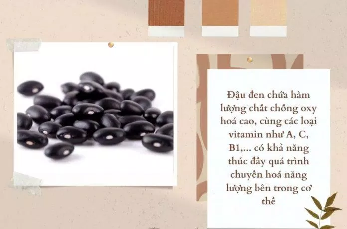 Hạt đậu đen chứa rất nhiều hàm lượng vitamin (Ảnh: Internet). Hạt đậu đen chứa rất nhiều hàm lượng vitamin (Ảnh: Internet).
