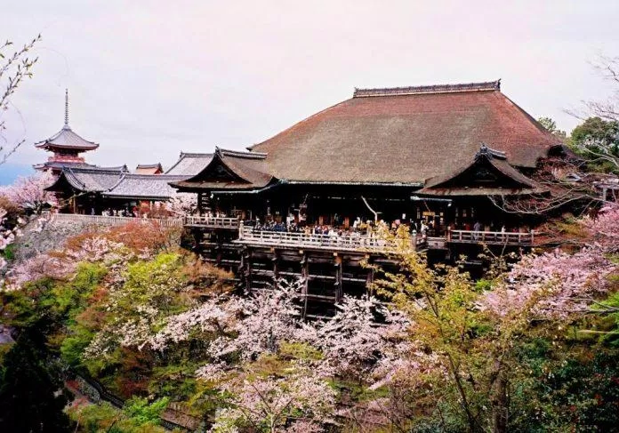 Chùa Kiyomizu mùa hoa anh đào (Nguồn: Internet).