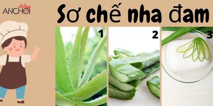 Các bước sơ chế để làm đẹp bằng nha đam hiệu quả an toàn cho làn da ( Nguồn: BlogAnChoi)