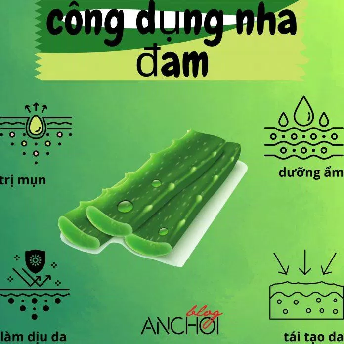 Làm đẹp bằng nha đam mang đến các công dụng "thần kỳ" cho làn da ( Nguồn: BlogAnChoi)