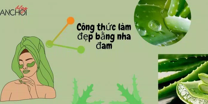 Tham khảo ngay các TIPS làm đẹp bằng nha đam đơn giản, hiệu quả ngay tại nhà ( Nguồn: BlogAnChoi)
