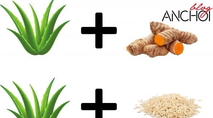 Kết hợp làm đẹp bằng nha đam với các nguyên liệu từ thiên nhiên giúp tăng hiệu quả dưỡng da ( Nguồn: BlogAnChoi)