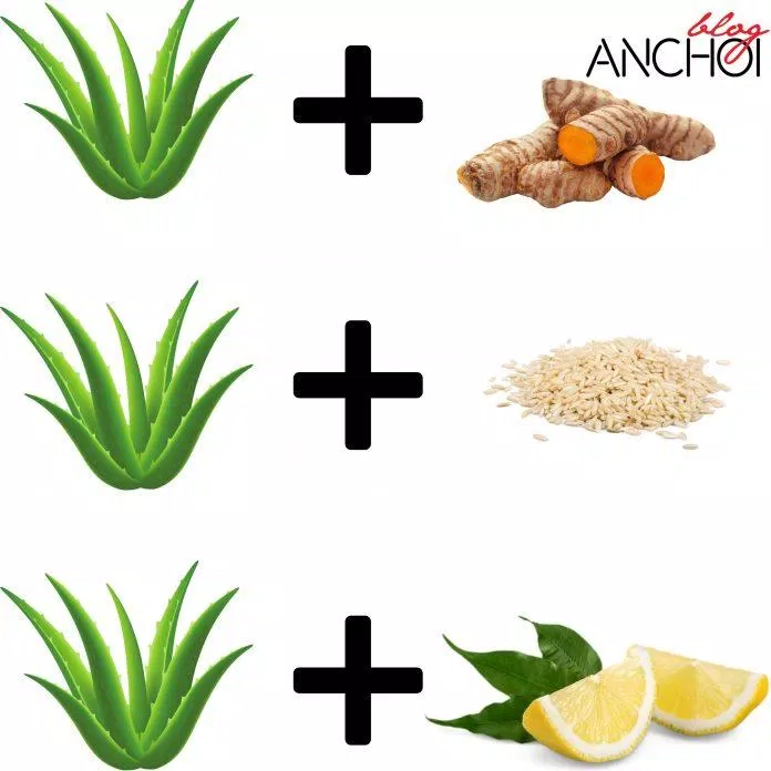 Kết hợp làm đẹp bằng nha đam với các nguyên liệu từ thiên nhiên giúp tăng hiệu quả dưỡng da ( Nguồn: BlogAnChoi)