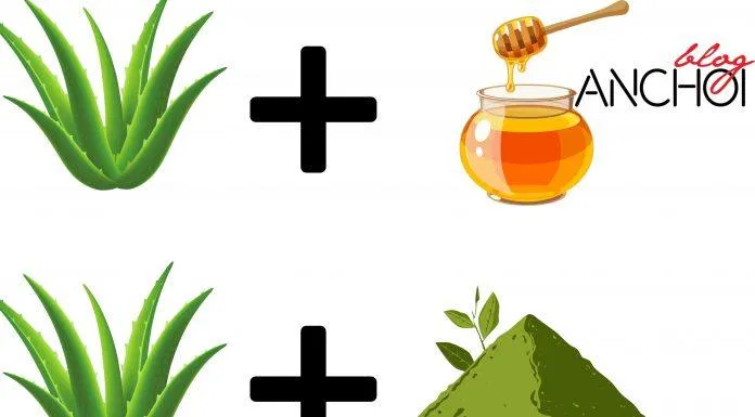 Làm đẹp bằng nha đam với sữa chua, trà xanh, mật ong vẫn luôn được hội chị em tin tưởng ( Nguồn: BlogAnChoi)