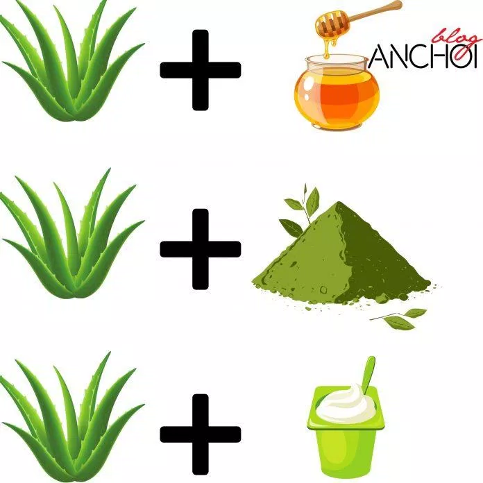 Làm đẹp bằng nha đam với sữa chua, trà xanh, mật ong vẫn luôn được hội chị em tin tưởng ( Nguồn: BlogAnChoi)