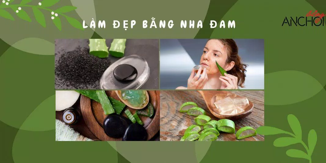 Tham khảo các cách làm đẹp bằng nha đam 