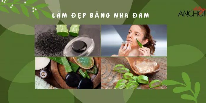 Tham khảo các cách làm đẹp bằng nha đam "cứu cánh" cho làn da siêu ổn áp trong ngày hè ( Nguồn: BlogAnChoi)