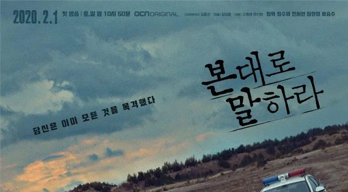 Poster phim Tell Me What You Saw. (Nguồn: Internet)